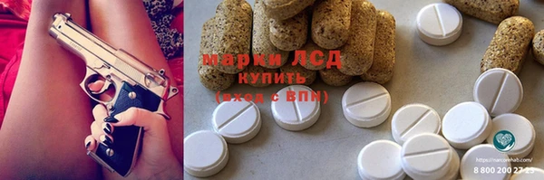 индика Осинники