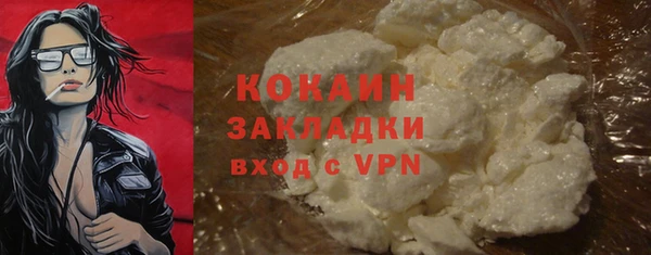 прущие грибы Переславль-Залесский