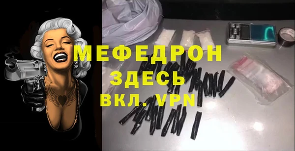 индика Осинники