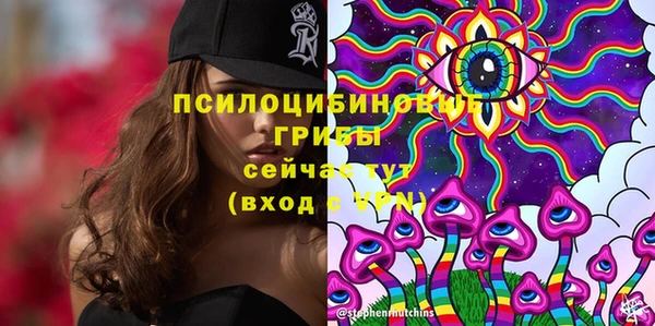 прущие грибы Остров