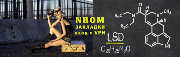 прущие грибы Переславль-Залесский