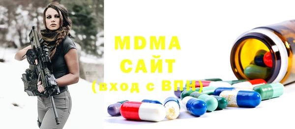 индика Осинники