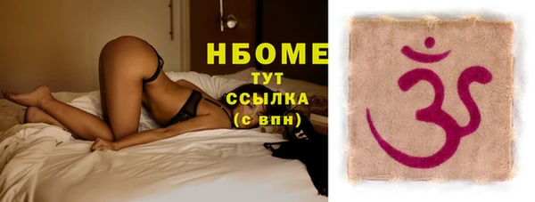прущие грибы Переславль-Залесский