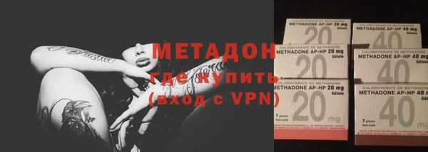индика Осинники
