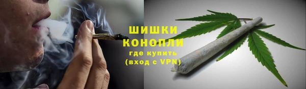 прущие грибы Переславль-Залесский
