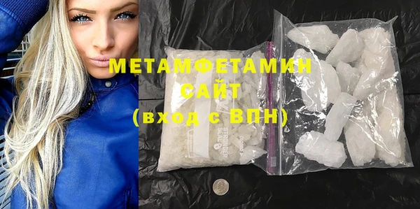 индика Осинники