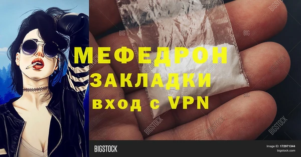 индика Осинники