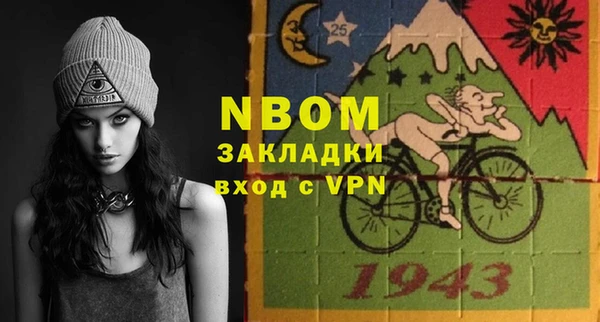 индика Осинники