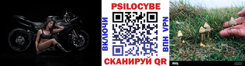 Псилоцибиновые грибы GOLDEN TEACHER  где продают   Кинешма 