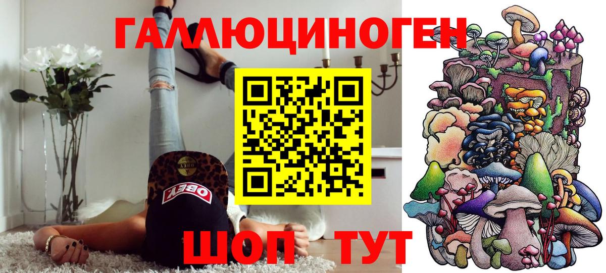 Галлюциногенные грибы Psilocybine cubensis Кинешма