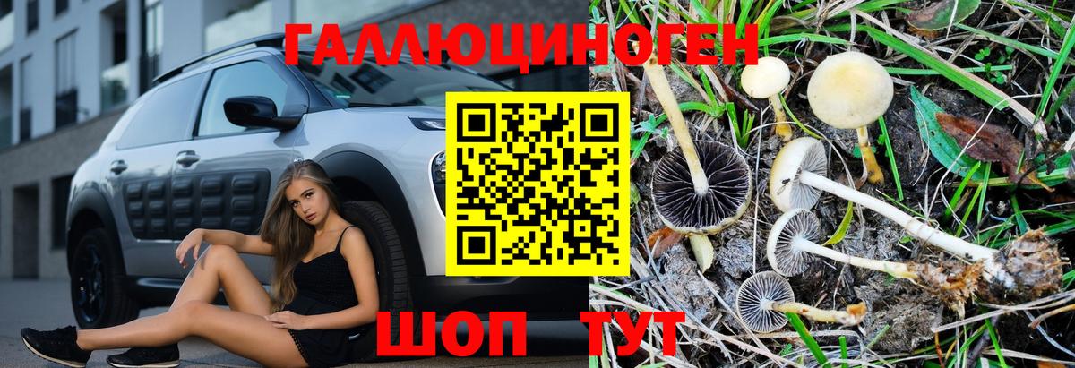 Галлюциногенные грибы MAGIC MUSHROOMS Кинешма