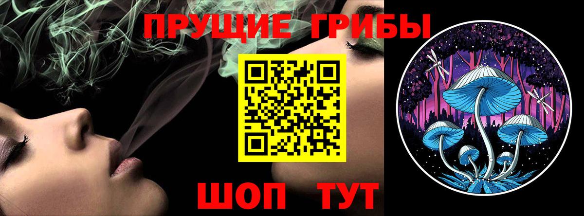 Галлюциногенные грибы мицелий  Псилоцибиновые грибы MAGIC MUSHROOMS  Кинешма 