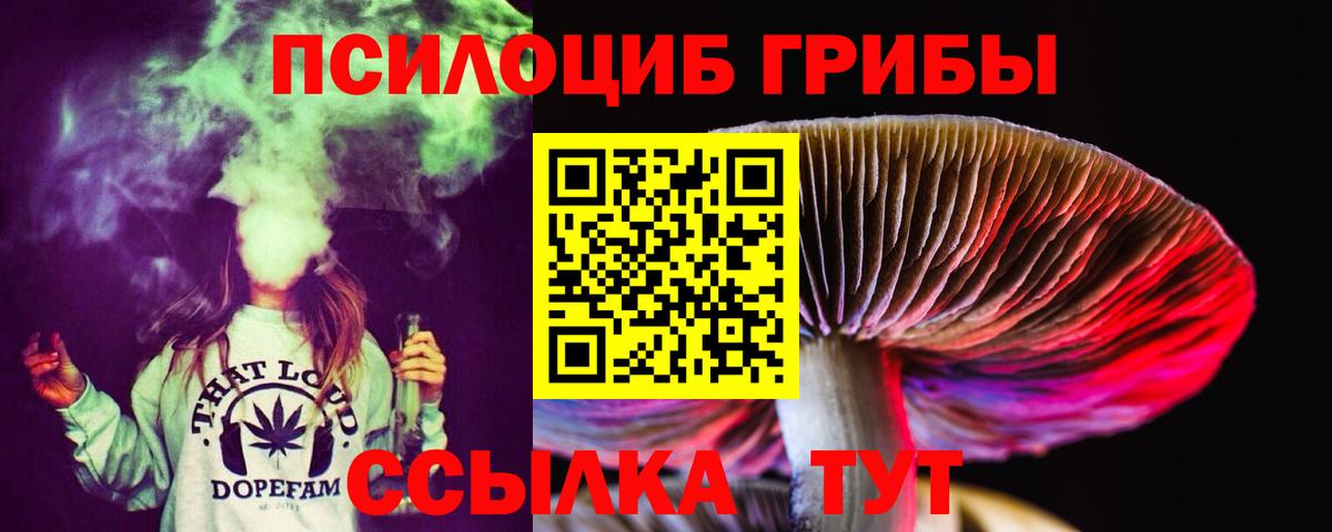 Кинешма  Псилоцибиновые грибы MAGIC MUSHROOMS  Вход с VPN  Галлюциногенные грибы Psilocybine cubensis 