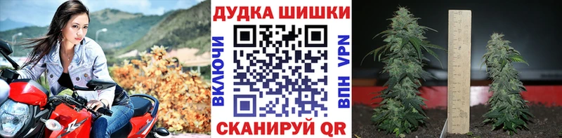 Марихуана White Widow  наркошоп  Кинешма 